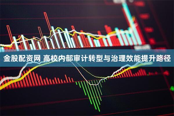 金股配资网 高校内部审计转型与治理效能提升路径